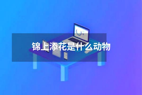 锦上添花是什么动物
