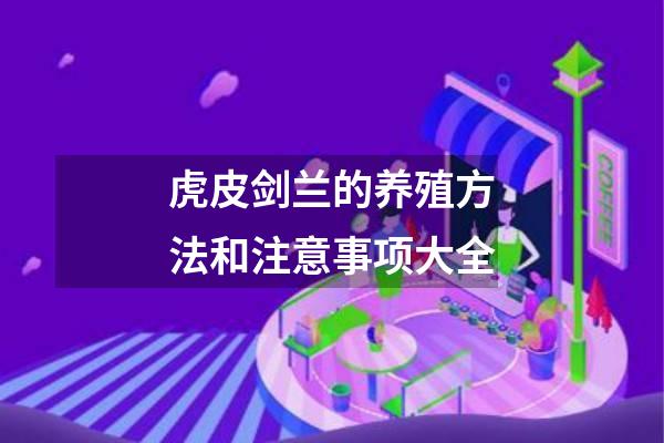 虎皮剑兰的养殖方法和注意事项大全