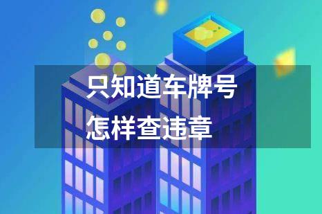 只知道车牌号怎样查违章