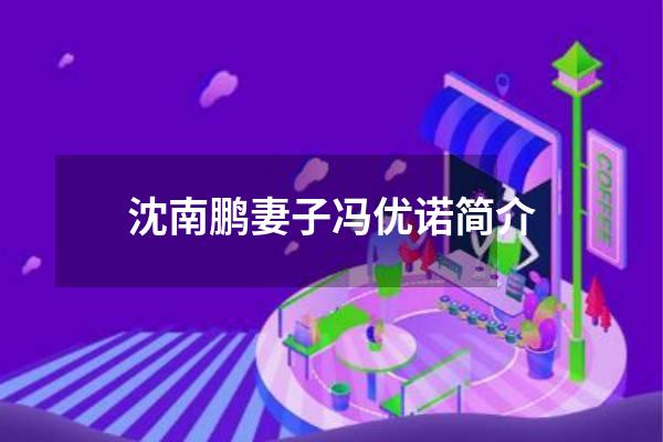 沈南鹏妻子冯优诺简介