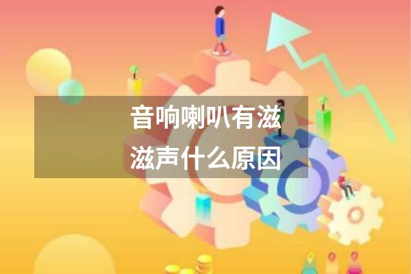 音响喇叭有滋滋声什么原因