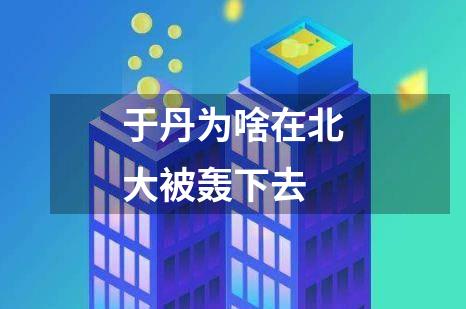 于丹为啥在北大被轰下去