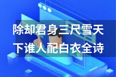 除却君身三尺雪天下谁人配白衣全诗