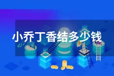 小乔丁香结多少钱