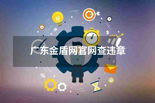 广东金盾网官网查违章