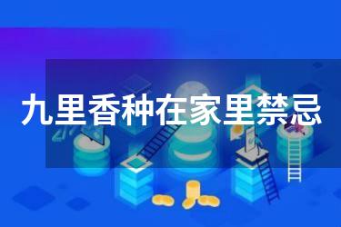 九里香种在家里禁忌