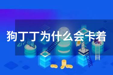 狗丁丁为什么会卡着