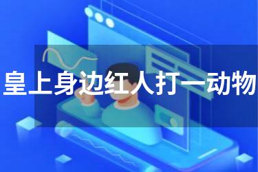 皇上身边红人打一动物