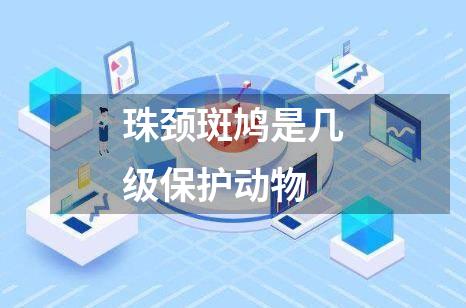 珠颈斑鸠是几级保护动物