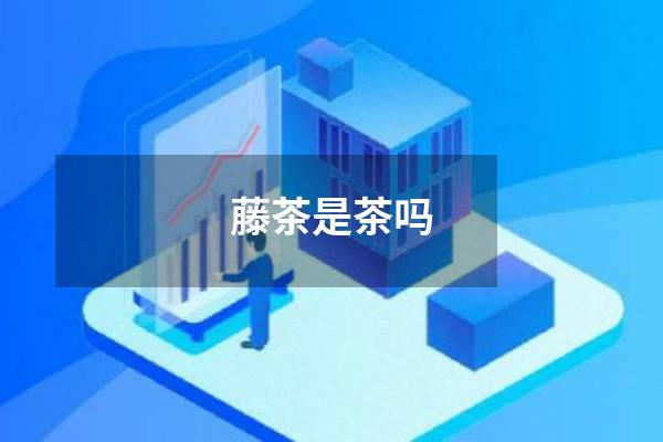 藤茶是茶吗