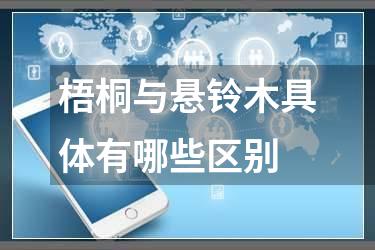 梧桐与悬铃木具体有哪些区别