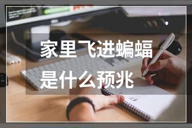 家里飞进蝙蝠是什么预兆