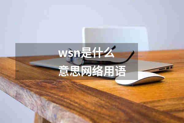 wsn是什么意思网络用语