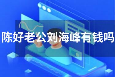 陈好老公刘海峰有钱吗