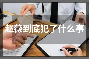 赵薇到底犯了什么事