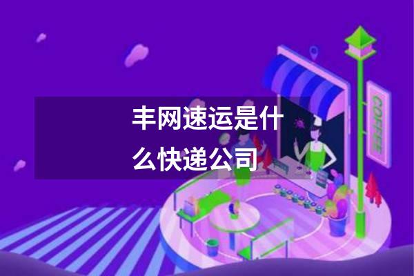 丰网速运是什么快递公司