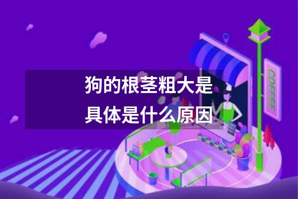 狗的根茎粗大是具体是什么原因