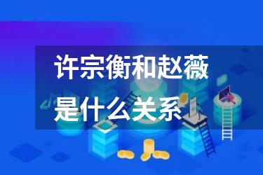 许宗衡和赵薇是什么关系