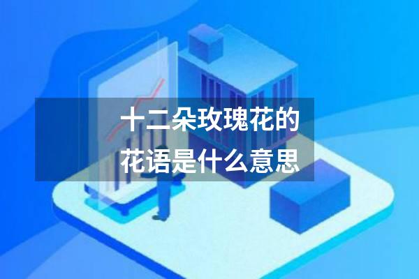 十二朵玫瑰花的花语是什么意思