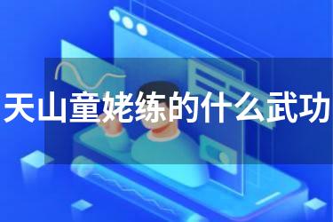 天山童姥练的什么武功