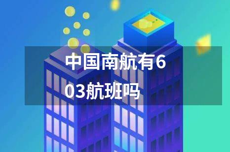 中国南航有603航班吗