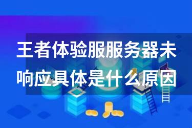 王者体验服服务器未响应具体是什么原因