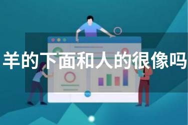 羊的下面和人的很像吗