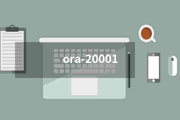 ora-20001