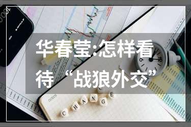 华春莹:怎样看待“战狼外交”