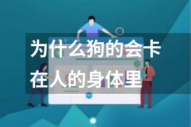 为什么狗的会卡在人的身体里