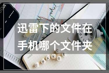 迅雷下的文件在手机哪个文件夹