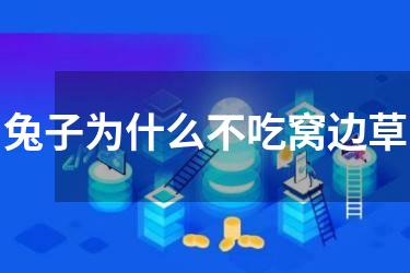 兔子为什么不吃窝边草