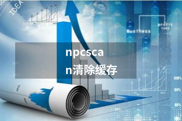 npcscan清除缓存