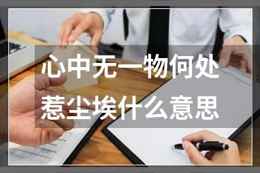 心中无一物何处惹尘埃什么意思