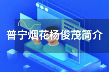 普宁烟花杨俊茂简介