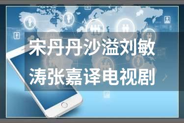 宋丹丹沙溢刘敏涛张嘉译电视剧