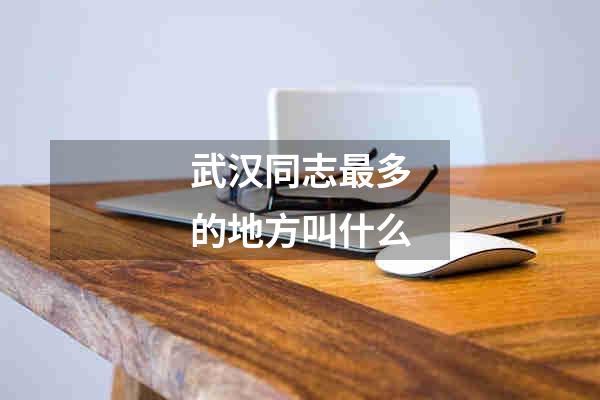 武汉同志最多的地方叫什么