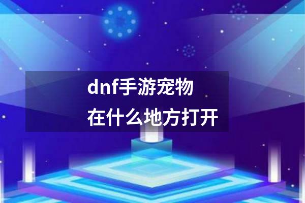 dnf手游宠物在什么地方打开