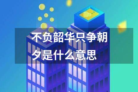 不负韶华只争朝夕是什么意思