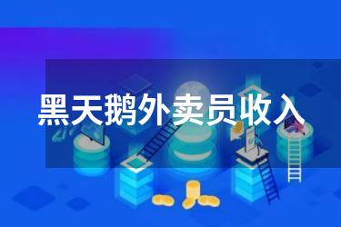 黑天鹅外卖员收入