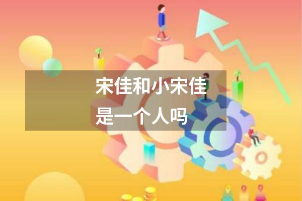 宋佳和小宋佳是一个人吗