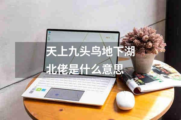 天上九头鸟地下湖北佬是什么意思