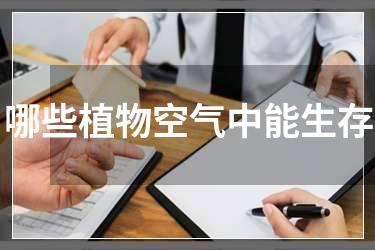 哪些植物空气中能生存