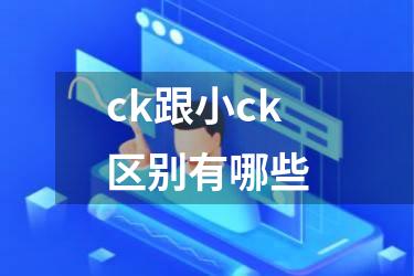 ck跟小ck区别有哪些