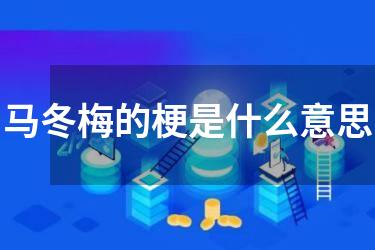 马冬梅的梗是什么意思
