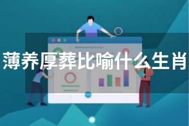 薄养厚葬比喻什么生肖