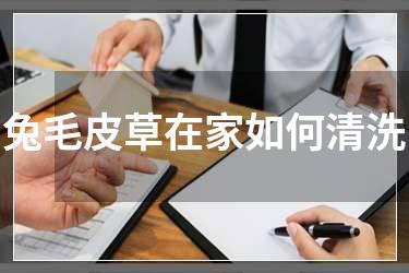 兔毛皮草在家如何清洗