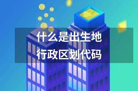 什么是出生地行政区划代码
