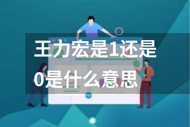 王力宏是1还是0是什么意思
