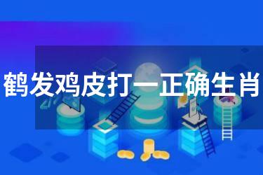 鹤发鸡皮打一正确生肖